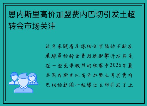 恩内斯里高价加盟费内巴切引发土超转会市场关注